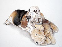 Pet portrait of a Bassett hound with her toy