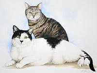 pet portrait of two cats