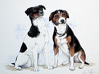 Pet portrait of two Jack Russells